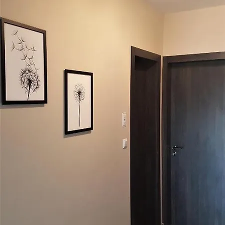 Azzurro-top Floor In Quiet Neighborhood, Free Private Parking 아파트 바르나